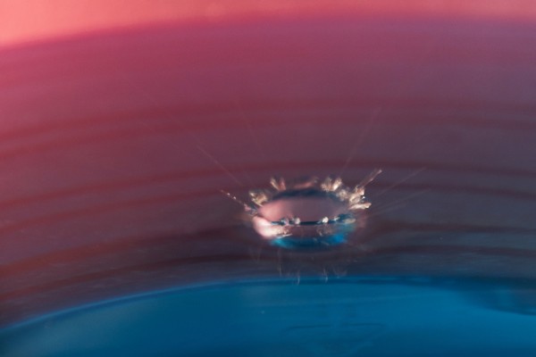 nootens-17E81D8A32-858E-9A6C-D3A3-0D84D611F1F2.jpg