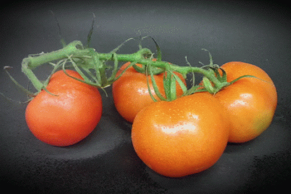 tomates62E231DB-E48B-98F0-F841-9BF9EBD8C5E6.gif