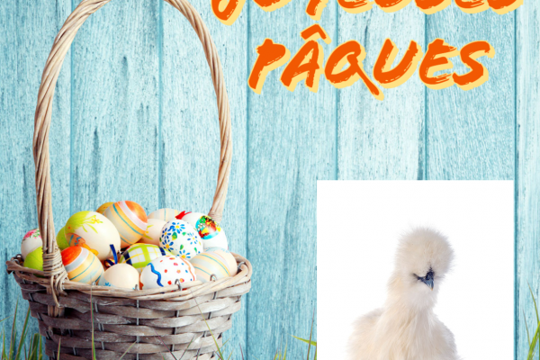 paques-48A0A12C1-BBAE-6A7A-A5A2-2A24E504B265.png