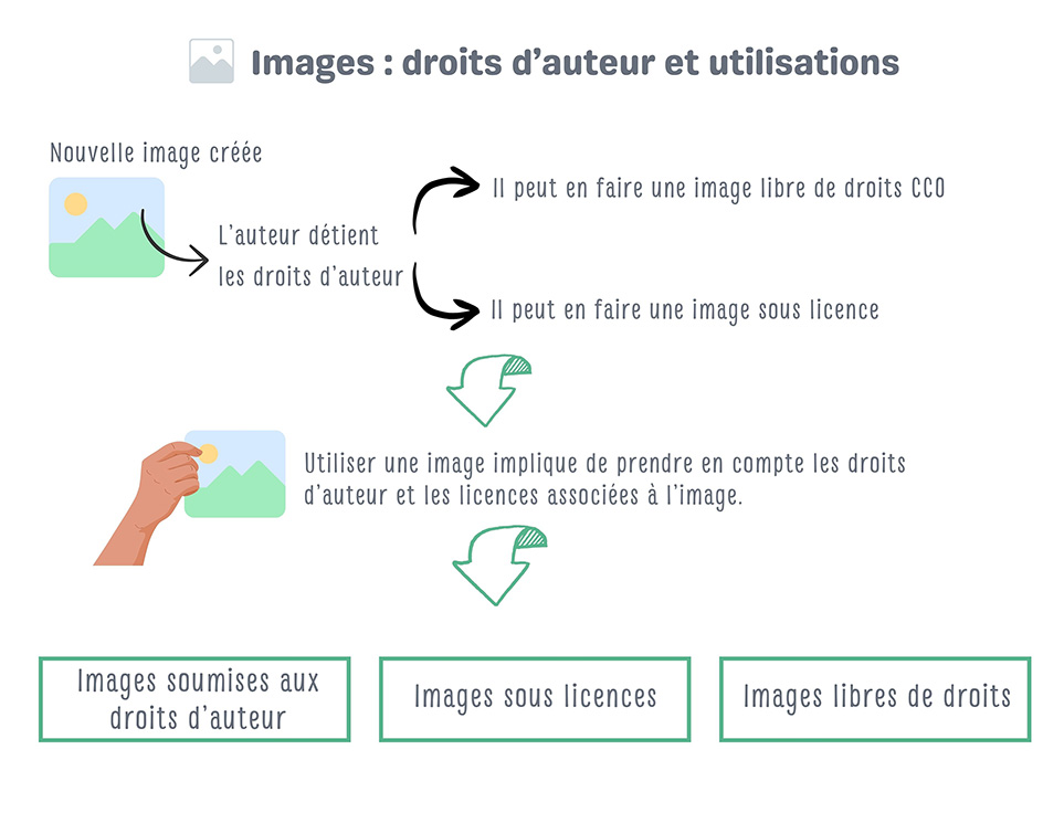 droits auteur light