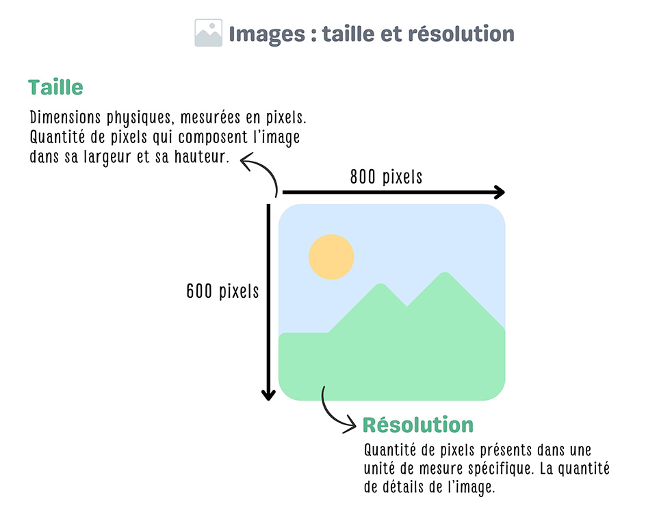 taille light