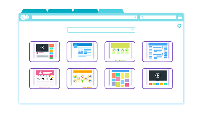 browser 